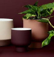Fergus Planter Small Blush